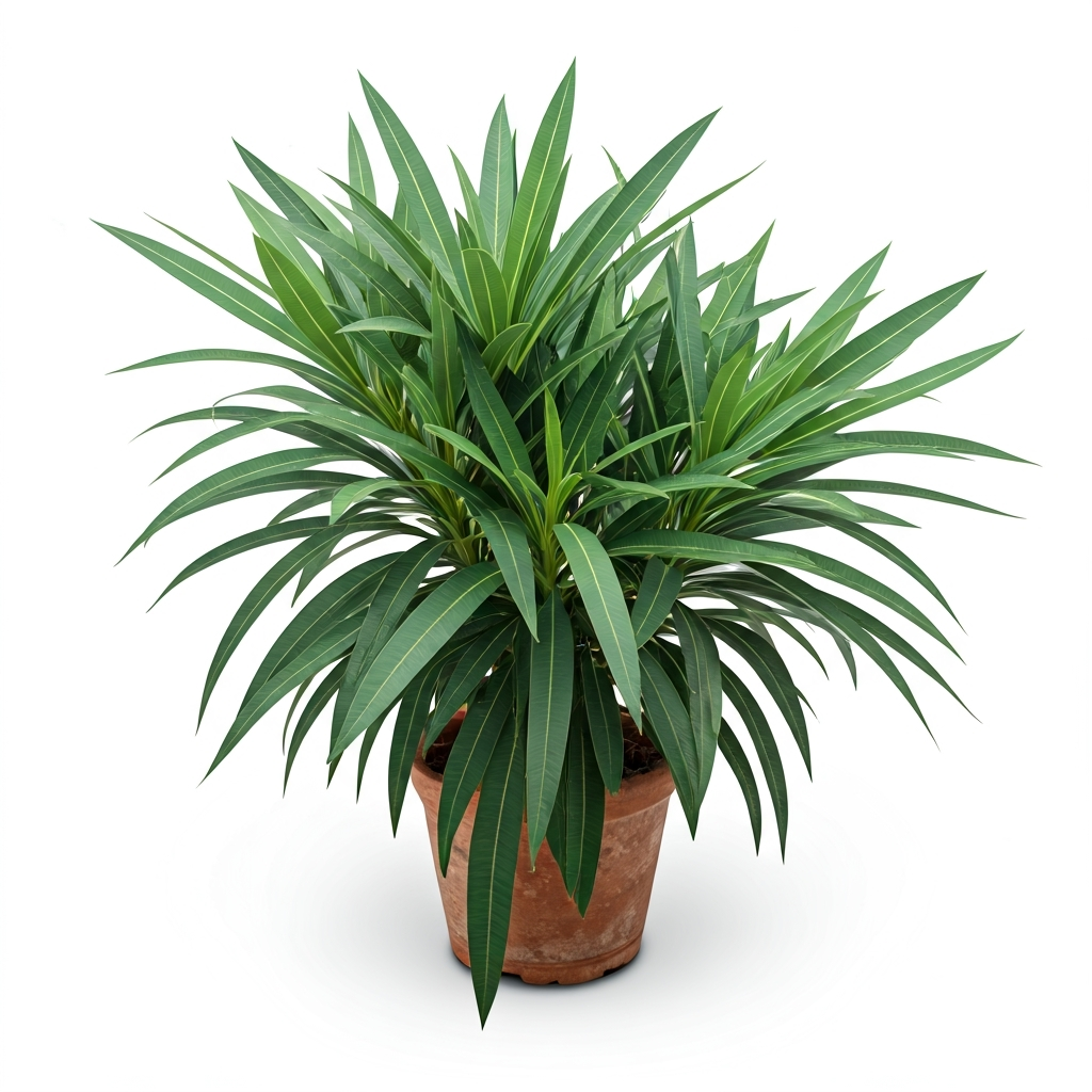 Top 5 Most Poisonous Houseplants